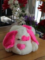 Cagnolino di peluche Cagnolina di peluche con fiocco in raso. Doudou Idea Regalo