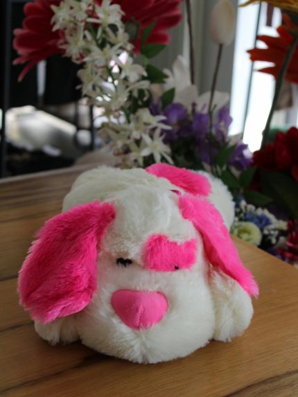Cagnolino di peluche Cagnolina di peluche con fiocco in raso. Doudou Idea Regalo