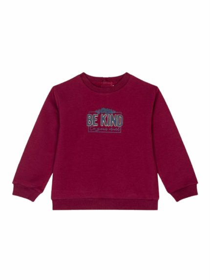 Felpa girocollo bimba Ativo Kids 6/36 mesi - felpa girocollo bimba in cotone invernale stretch con stampa frontale Back to School