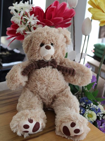 Orsetto di peluche con fiocco Orsetto in peluche con fiocco in stoffa vellutata. Doudou Idea Regalo